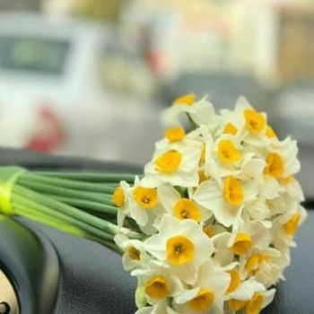 دانلود آهنگ دیگه نوری نیست تو این شبام ستاره نیست برام ریمیکس با صدای دختر