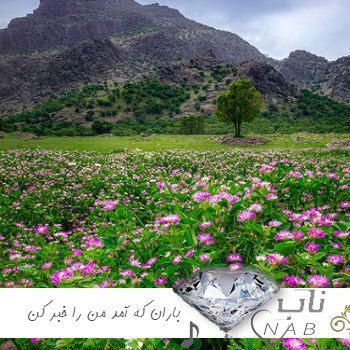 دانلود اهنگ باران که آمد من را خبر کن با صدای زن هوش مصنوعی ( ریمیکس + اصلی )