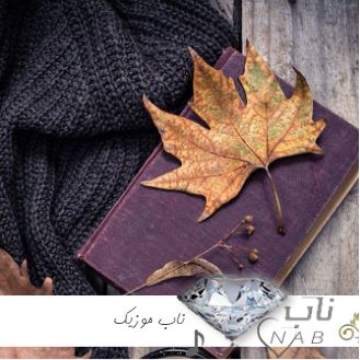 دانلود آهنگ برو وابسته نشو خسته میشی دل بکن از من هایده هوش مصنوعی ریمیکس دانلود آهنگ برو وابسته نشو خسته میشی دل بکن از من هایده هوش مصنوعی ریمیکس