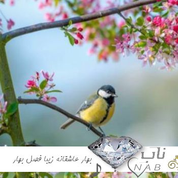 دانلود آهنگ بهار عاشقانه زیبا برای فصل بهار بهار آمد 1402 - 1403 دانلود آهنگ بهار عاشقانه زیبا برای فصل بهار بهار آمد 1402 - 1403