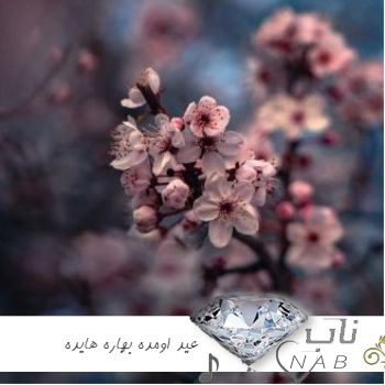 دانلود آهنگ عید اومده بهاره هایده ( ریمیکس اینستا ) دانلود آهنگ عید اومده بهاره هایده ( ریمیکس اینستا )