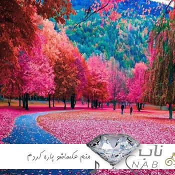 دانلود آهنگ منم عکساشو پاره کردم ریمیکس اینستا صدای زن مرد ورژن جدید دانلود آهنگ منم عکساشو پاره کردم ریمیکس اینستا صدای زن مرد ورژن جدید