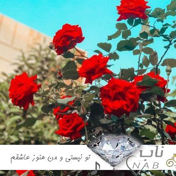 دانلود آهنگ تو نیستی و من هنوز عاشقم ریمیکس با صدای زن هوش مصنوعی هایده