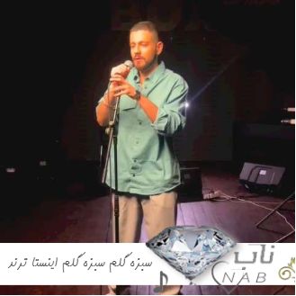 دانلود آهنگ سبزه گلم سبزه گلم ریمیکس اینستا ترند دانلود آهنگ سبزه گلم سبزه گلم ریمیکس اینستا ترند