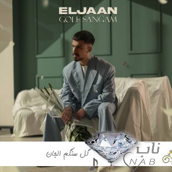 دانلود آهنگ گل سنگم مثل قبلا نمیشه هیچوقت به تو احساسم ریمیکس اینستا الجان