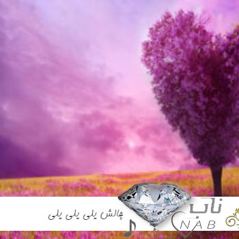 دانلود آهنگ چالش یلی یلی یلی علی علی علی ترند اینستاگرام ( ریمیکس )