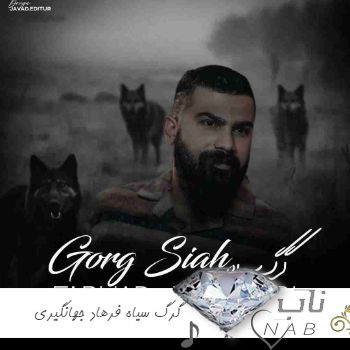 دانلود آهنگ گرگ سیاه فرهاد جهانگیری ریمیکس ( اصلی کامل )