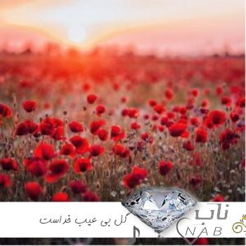 دانلود آهنگ گل بی عیب خداست منم ایراد داشتم از مسعود صادقلو ( ریمیکس اینستا )
