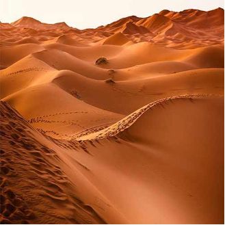 دانلود آهنگ شاد تکون دهنده عربی معروف ضربدار