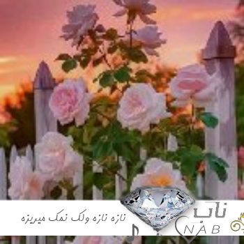 دانلود آهنگ شاد نازه نازه ولک نمک میریزه با صدای زن ریمیکس دانلود آهنگ شاد نازه نازه ولک نمک میریزه با صدای زن ریمیکس