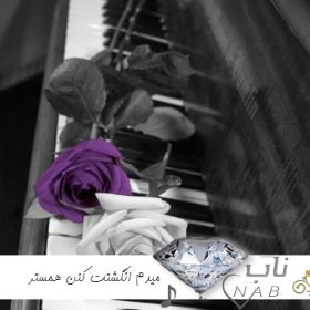 دانلود آهنگ صدات روی پیجر بدون منیجر میدم انگشتت کنن همستر پیشرو ( ریمیکس و اصلی کامل ) دانلود آهنگ صدات روی پیجر بدون منیجر میدم انگشتت کنن همستر پیشرو ( ریمیکس و اصلی کامل )