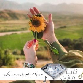 دانلود آهنگ چند وقته دلم دل بهس ویکی با صدای زن ریمیکس اجرای گروهی دختران