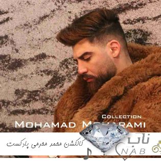 دانلود کالکشن آهنگ های محمد محرمی پادکست یکجا ۱۴۰۳ (میکس بهترین آهنگها)