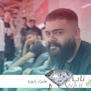 دانلود آهنگ گفتی میرم و ترسید یهو دلم علیراد ریمیکس + اصلی