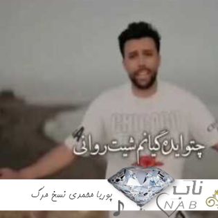 دانلود آهنگ پوریا محمدی نسخ مرگ ( ریمیکس و اصلی )
