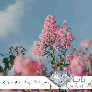 دانلود آهنگ منو یه حال بد که اونم تو دادی خانمی کن صبر کن بازم ریمیکس اینستا رپ ترکیبی دانلود آهنگ منو یه حال بد که اونم تو دادی خانمی کن صبر کن بازم ریمیکس اینستا رپ ترکیبی