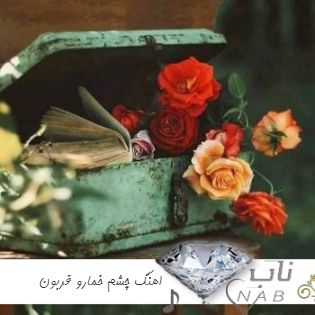 دانلود اهنگ چشم خمارو قربون دلو با نگات نلرزون اینستا امیر شهرایینی ریمیکس دانلود اهنگ چشم خمارو قربون دلو با نگات نلرزون اینستا امیر شهرایینی ریمیکس