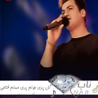دانلود آهنگ گل پری جونم پری مسلم فتاحی ریمیکس ارکستری شاد