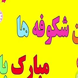 دانلود آهنگ جشن شکوفه ها ۱۴۰۳ برای کلاس اولی ها پیش دبستانی بی کلام با کلام دانلود آهنگ جشن شکوفه ها ۱۴۰۳ برای کلاس اولی ها پیش دبستانی بی کلام با کلام