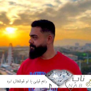 دانلود آهنگ دلم خیلی با تو خوشحال تره تنبل بودم ولی شدم پرکار سرت ریمیکس اینستا علیراد