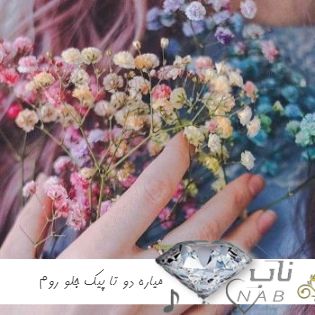 دانلود آهنگ میاره دو تا پیک جلو روم و هی میگه سلام سلام ریمیکس اینستا ترند چالش دانلود آهنگ میاره دو تا پیک جلو روم و هی میگه سلام سلام ریمیکس اینستا ترند چالش