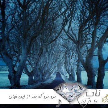 دانلود آهنگ برو برو که بعد از این خیال خنده های تو مرا میکشد فاطمه مهلبان خیال ریمیکس