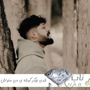آهنگ شدی جیگر گوشه ی من ریمیکس کامل ساواش 