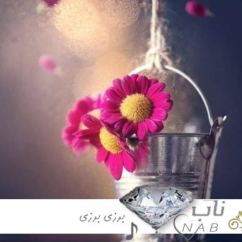 دانلود آهنگ کردی برزی برزی ریمیکس اینستاگرام کلاب خارجی به‌رزی به‌رزی