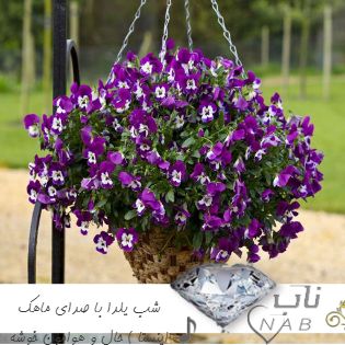 دانلود آهنگ شب یلدا با صدای ماهک ریمیکس اینستا با صدای زن ( حال و هوامون خوشه شو نشینی موقشه )