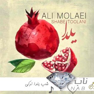 دانلود آهنگ شب یلدا ترکی ۱۴۰۳ برای استوری 