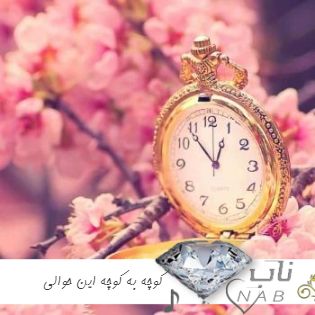 آهنگ کوچه به کوچه این حوالی با صدای پسر جوان ( ریمیکس اینستایی ) آهنگ کوچه به کوچه این حوالی با صدای پسر جوان ( ریمیکس اینستایی )