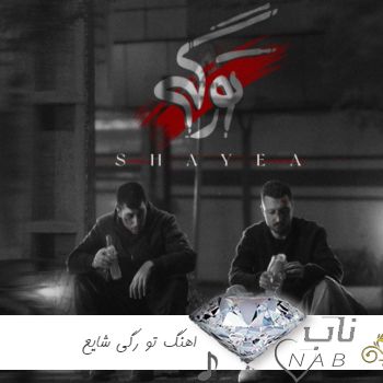 اهنگ تو رگی شایع ریمیکس ( یه تورگی میخوام یه داداشی ریمیکس )