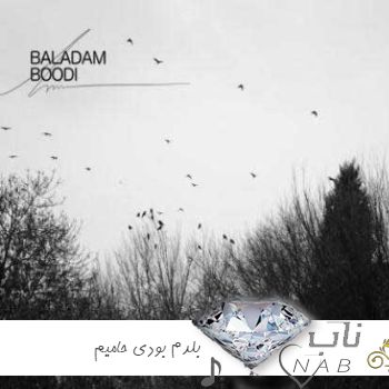 دانلود آهنگ بلدم بودی حامیم ریمیکس Haamim - Baladam Boodi دانلود آهنگ بلدم بودی حامیم ریمیکس Haamim - Baladam Boodi