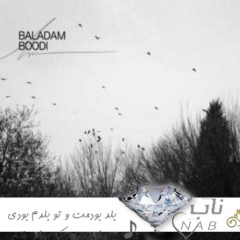 دانلود آهنگ بلد بودمت و تو بلدم بودی تهش هرچی که میشد بغلم بودی حامیم ریمیکس