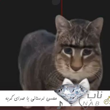 دانلود آهنگ محسن لرستانی با صدای گربه عی عا عو عی عی عا عو عی ریمیکس دانلود آهنگ محسن لرستانی با صدای گربه عی عا عو عی عی عا عو عی ریمیکس