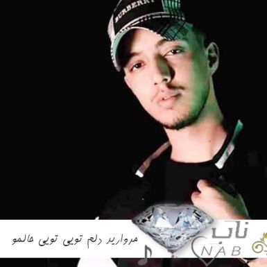 دانلود آهنگ مروارید دلم تویی تویی حالمو تو میتونی خوب کنی ریمیکس اینستا ترند