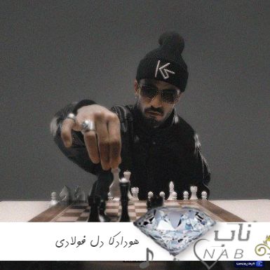 دانلود آهنگ هودادکا دل فولادی ( اگه دیدی میگیرم از موزیک جون اگه دیدی رفت پولام تو کیف پول )