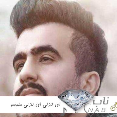 دانلود آهنگ ای نازلی ای نازلی ملوسو اینستا ریمیکس لری وحید آرامشیان دانلود آهنگ ای نازلی ای نازلی ملوسو اینستا ریمیکس لری وحید آرامشیان