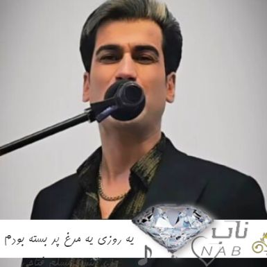 دانلود آهنگ یه روزی یه مرغ پر بسته بودم من ریمیکس اینستا مسلم فتاحی