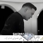 دانلود آهنگ درخت پیری شدم ریشه خشکیده غم ریمیکس علی احمدیانی