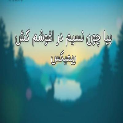 آهنگ بیا چون نسیم در آغوشم کش