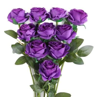 دانلود آهنگ پاچیدم دم دم دم صبح شد ریمیکس دانلود آهنگ پاچیدم دم دم دم صبح شد ریمیکس