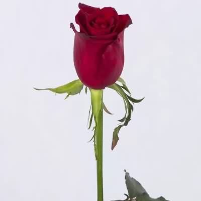 اهنگ جای من کی اومد که منو انداختی بیرون ریمیکس مهراب اینستا