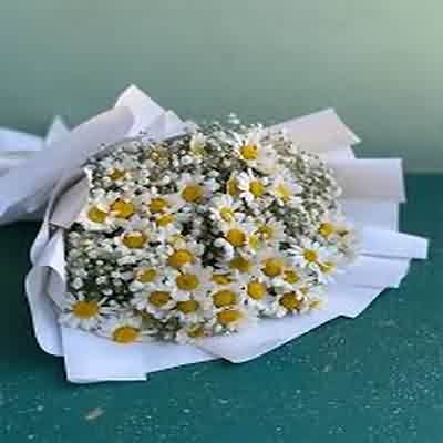 اهنگ دیشب تو خواب دیدمت بارون بود و عطر روی پیرهنت ریمیکس اینستا