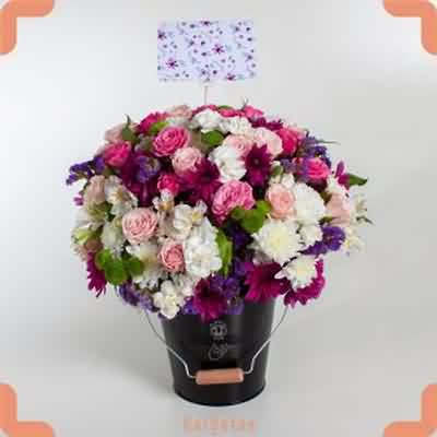 اهنگ befuckam با صدای زن ریمیکس اینستا اهنگ befuckam با صدای زن ریمیکس اینستا
