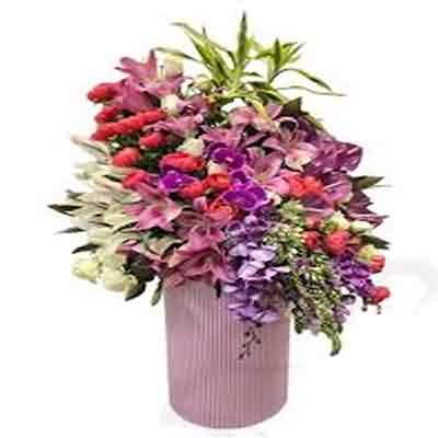 دانلود آهنگ باز بونه گروته دل دیوونه اشکان پناهی ریمیکس اینستا
