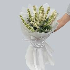 اهنگ چو غرق خاطراتمو غریق بی نجاتم با صدای زن ریمیکس اینستا