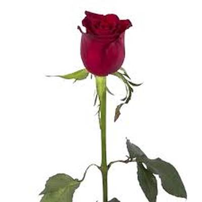 اهنگ دیدی زدی زیرش دیدی گفتم قلبی نداری با صدای زن ریمیکس اینستا هایده اهنگ دیدی زدی زیرش دیدی گفتم قلبی نداری با صدای زن ریمیکس اینستا هایده