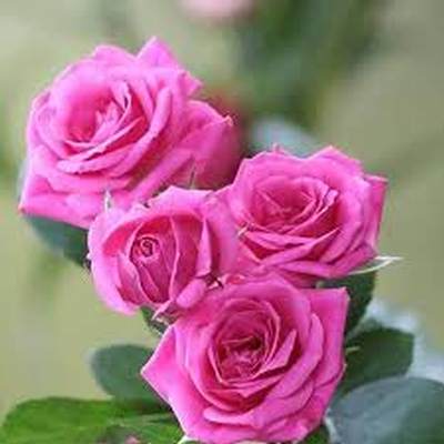 اهنگ ساری گلین با صدای زن ریمیکس اینستا اهنگ ساری گلین با صدای زن ریمیکس اینستا