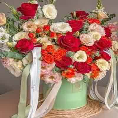 اهنگ شیطونی نکن وای دلم با صدای زن ریمیکس اینستا اهنگ شیطونی نکن وای دلم با صدای زن ریمیکس اینستا